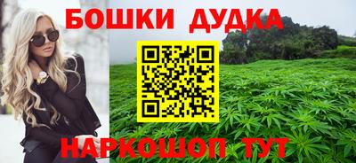 гашик Бийск