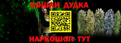 гашик Бийск