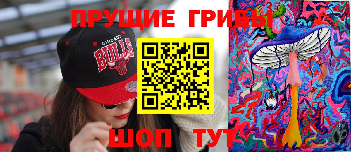 Камень-на-Оби  Псилоцибиновые грибы GOLDEN TEACHER  Вход с VPN  Псилоцибиновые грибы ЛСД 