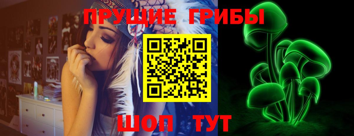 Галлюциногенные грибы Psilocybe Камень-на-Оби